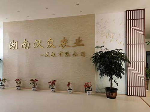 廠房風貌 (2) 廠房風貌 (2)