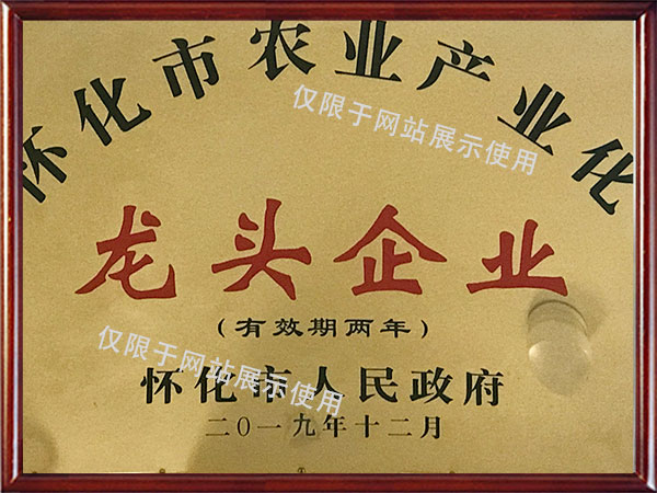 市農(nóng)業(yè)產(chǎn)業(yè)化龍頭企業(yè) 市農(nóng)業(yè)產(chǎn)業(yè)化龍頭企業(yè)