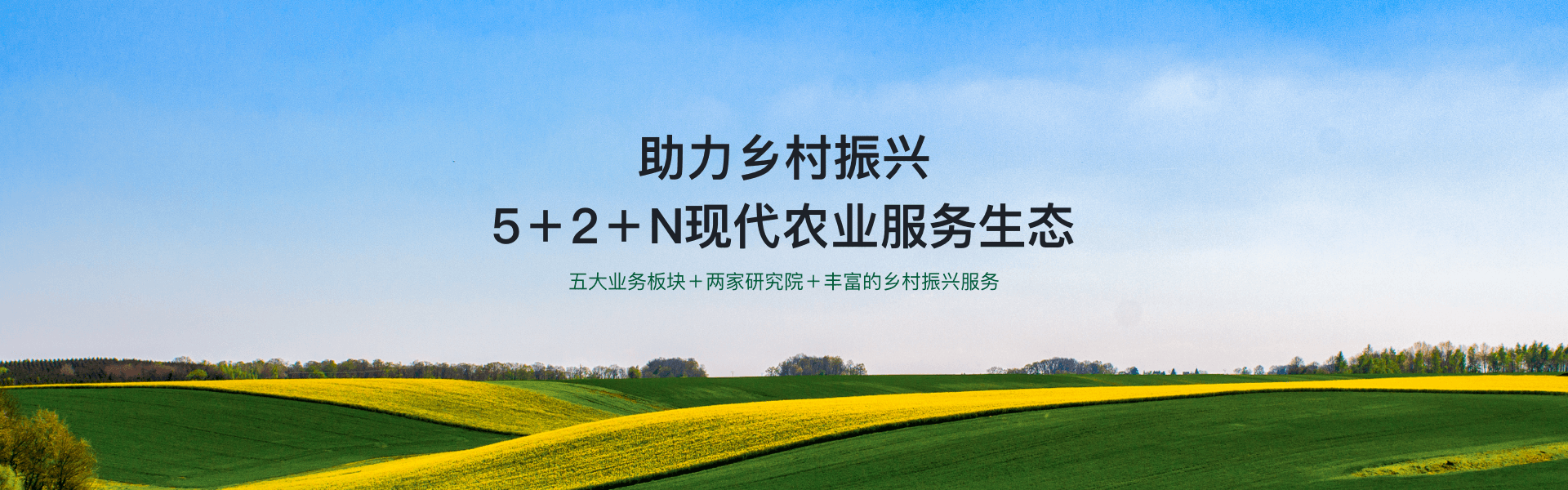 我們的業(yè)務